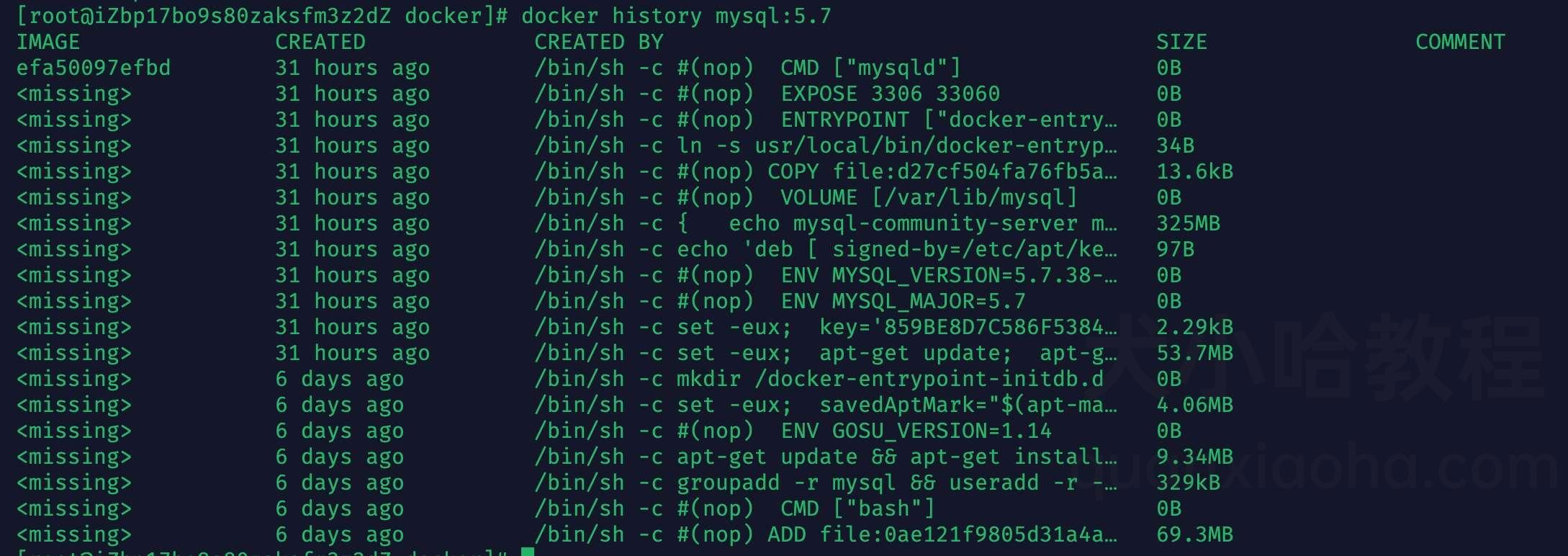 Docker 查看镜像信息