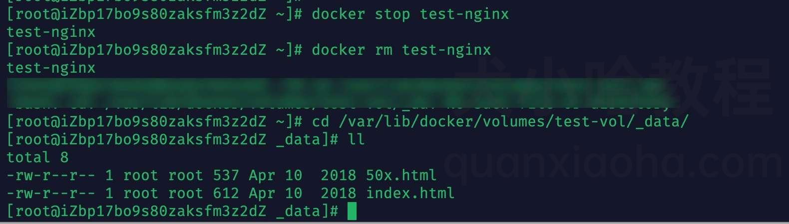 Docker 数据卷
