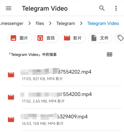 TG 获取限制转发、下载的媒体文件