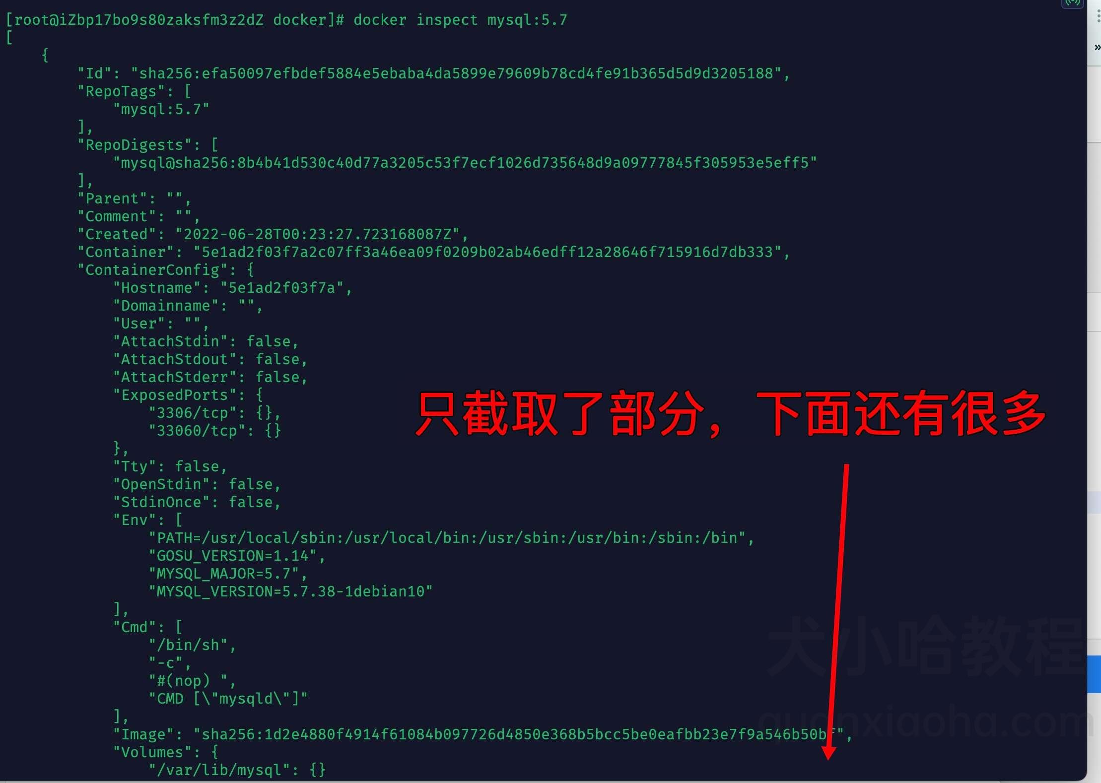 Docker 查看镜像信息